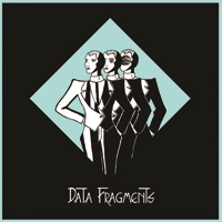 Data Fragments
