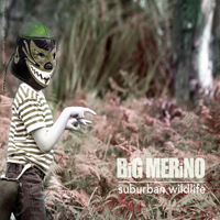 Big Merino