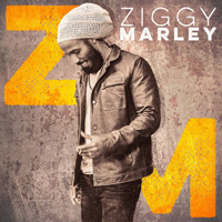 Ziggy Marley & The Melody Makers