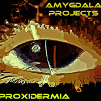 Amygdala Projects