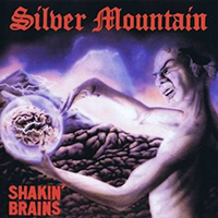 Silver Mountain
