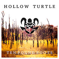 Hollow Turtle
