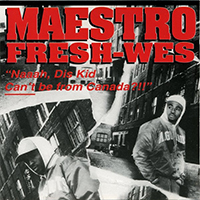 Maestro Fresh Wes