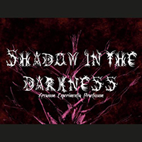 Shadow in the Darkness