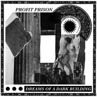 Profit Prison
