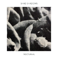 Shad Shadows