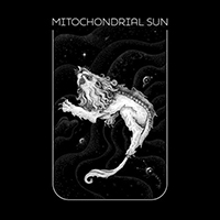 Mitochondrial Sun