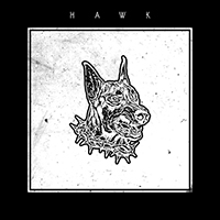 HAWK (USA, PA)