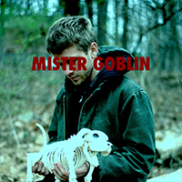 Mister Goblin