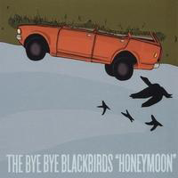 Bye Bye Blackbirds