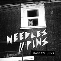 Needles_Pins