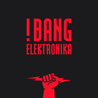 Bang Elektronika