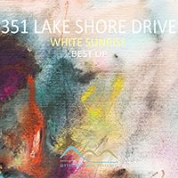 351 Lake Shore Drive