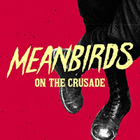 Meanbirds