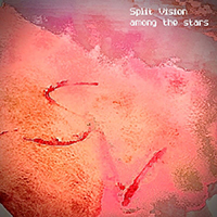 Split Vision