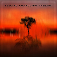 Electro Compulsive Therapy (MEX)