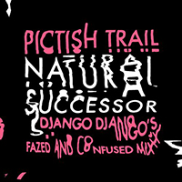 Pictish Trail