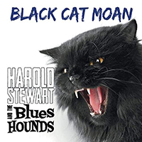 Harold Stewart & The Blues Hounds
