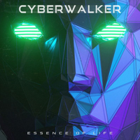 Cyberwalker