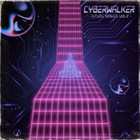 Cyberwalker