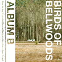 Birds Of Bellwoods