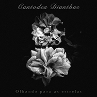 Cantodea Dianthus