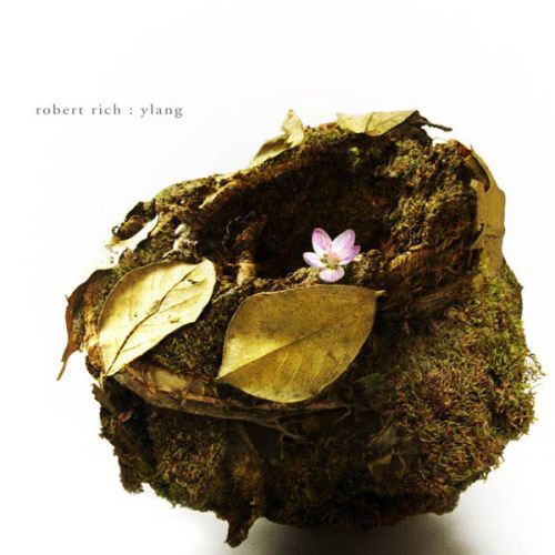 Robert Rich