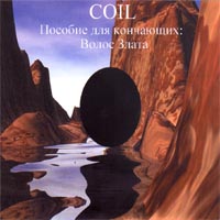 Coil