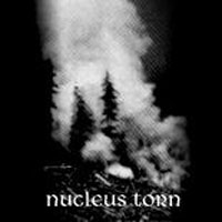 Nucleus Torn