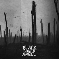 Black Boned Angel