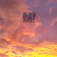 Black Boned Angel
