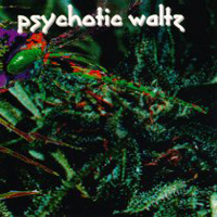 Psychotic Waltz