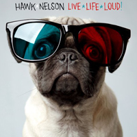 Hawk Nelson