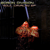 Boron Division