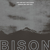 Bison B.C.