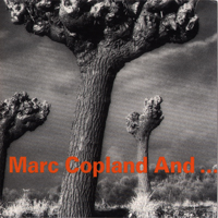 Marc Copland Trio