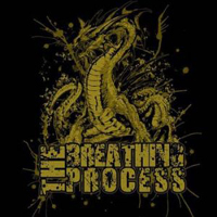 Breathing Process