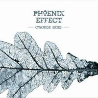 Phoenix Effect