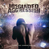 Misguided Aggression