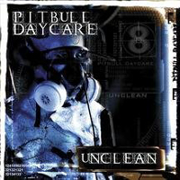 Pitbull Daycare