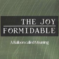 Joy Formidable