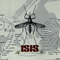 ISIS (USA)