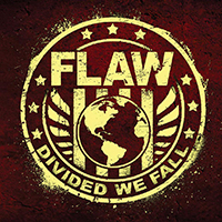 Flaw (USA)