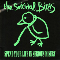 Suicidal Birds