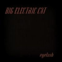 Big Electric Cat