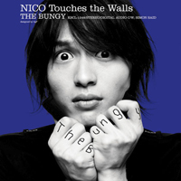 Nico Touches the Walls