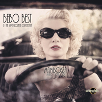 Bebo Best And The Super Lounge Orchestra