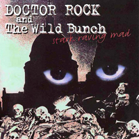 Doctor Rock And The Wild Bunch
