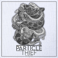 Particle Thief