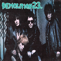 Demolition 23